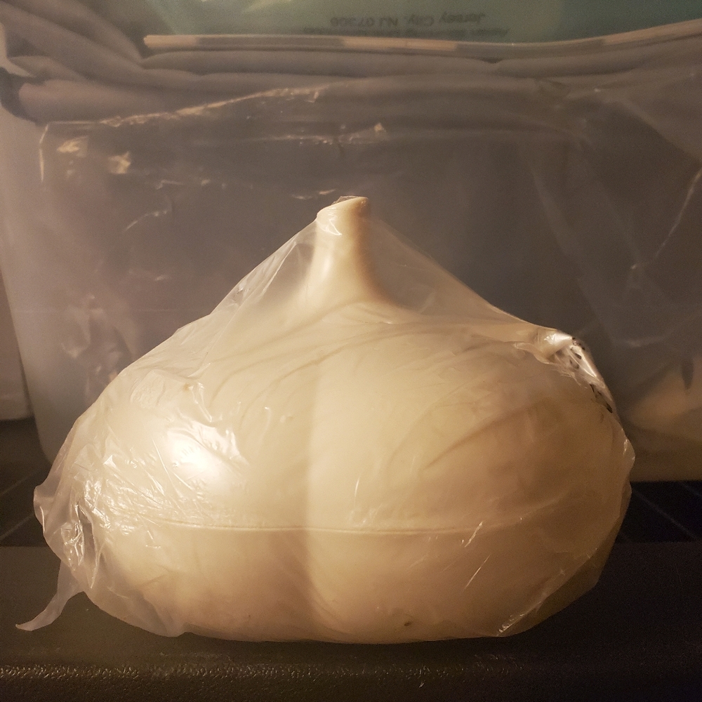 Tupperware garlic keeper